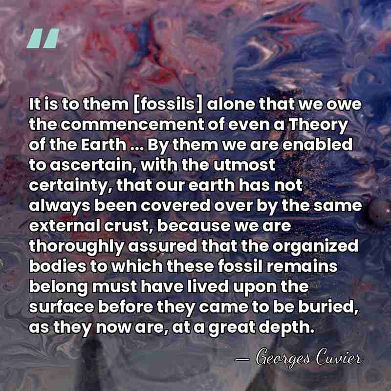 It is to them [fossils] alone that we owe the commencement of&hellip; - Georges Cuvier