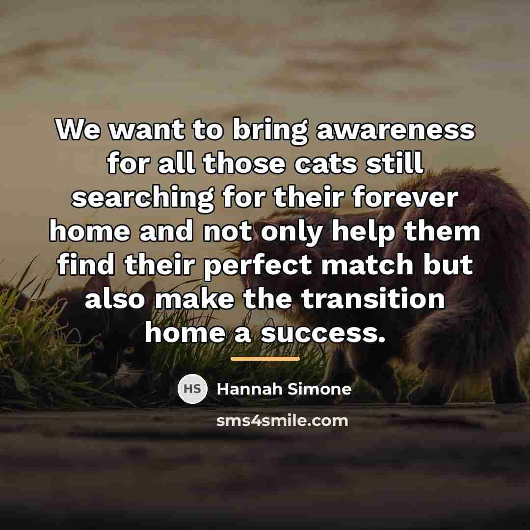 “We want to bring awareness for all those cats still…” quote by Hannah Simone