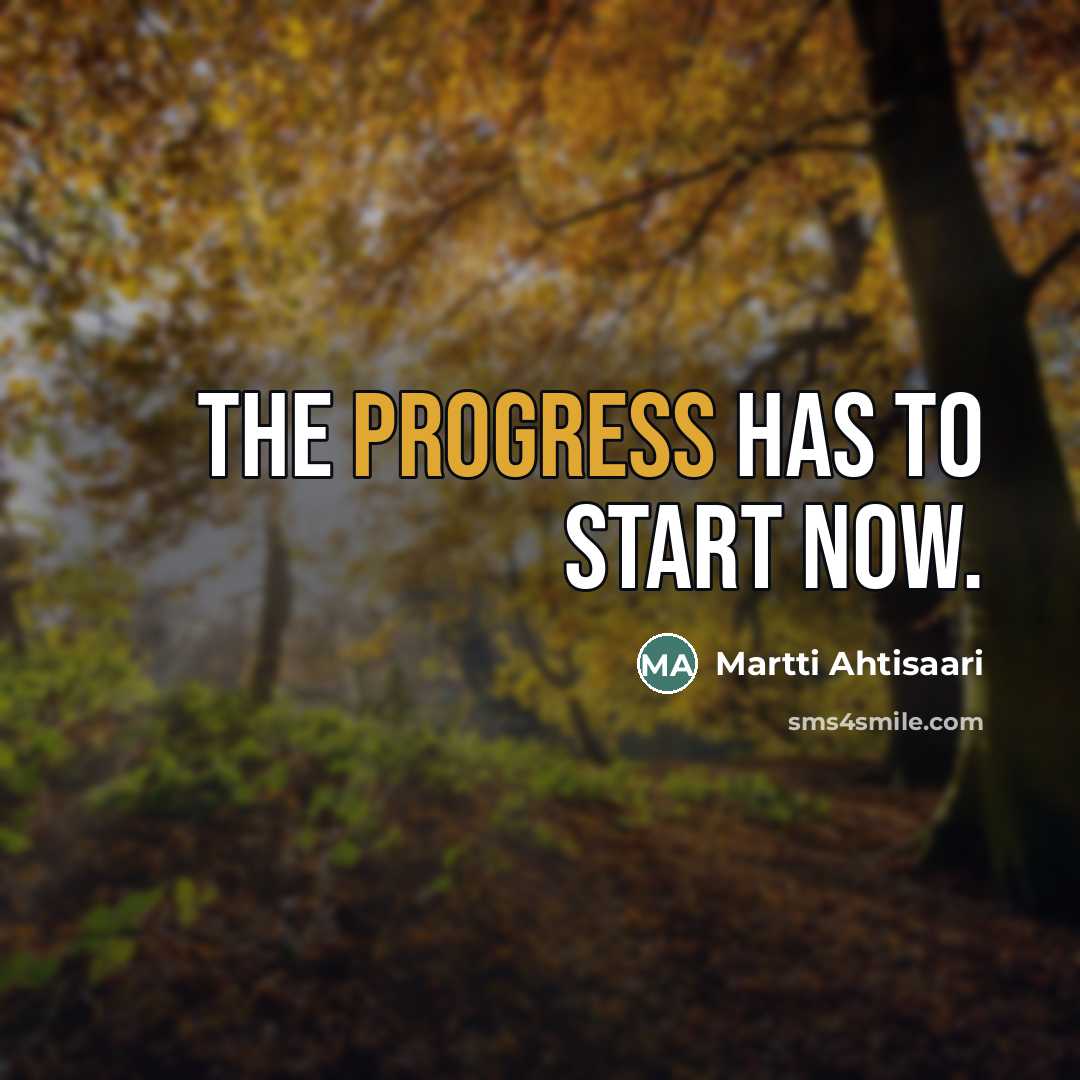“The progress has to start now.…” quote by Martti Ahtisaari
