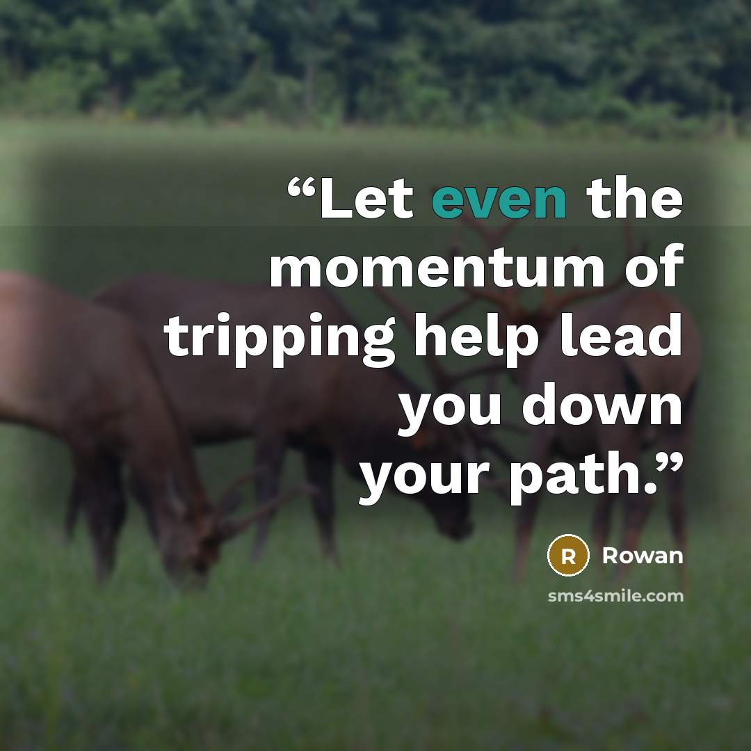 “Let even the momentum of tripping help lead you down your path.” quote by Rowan
