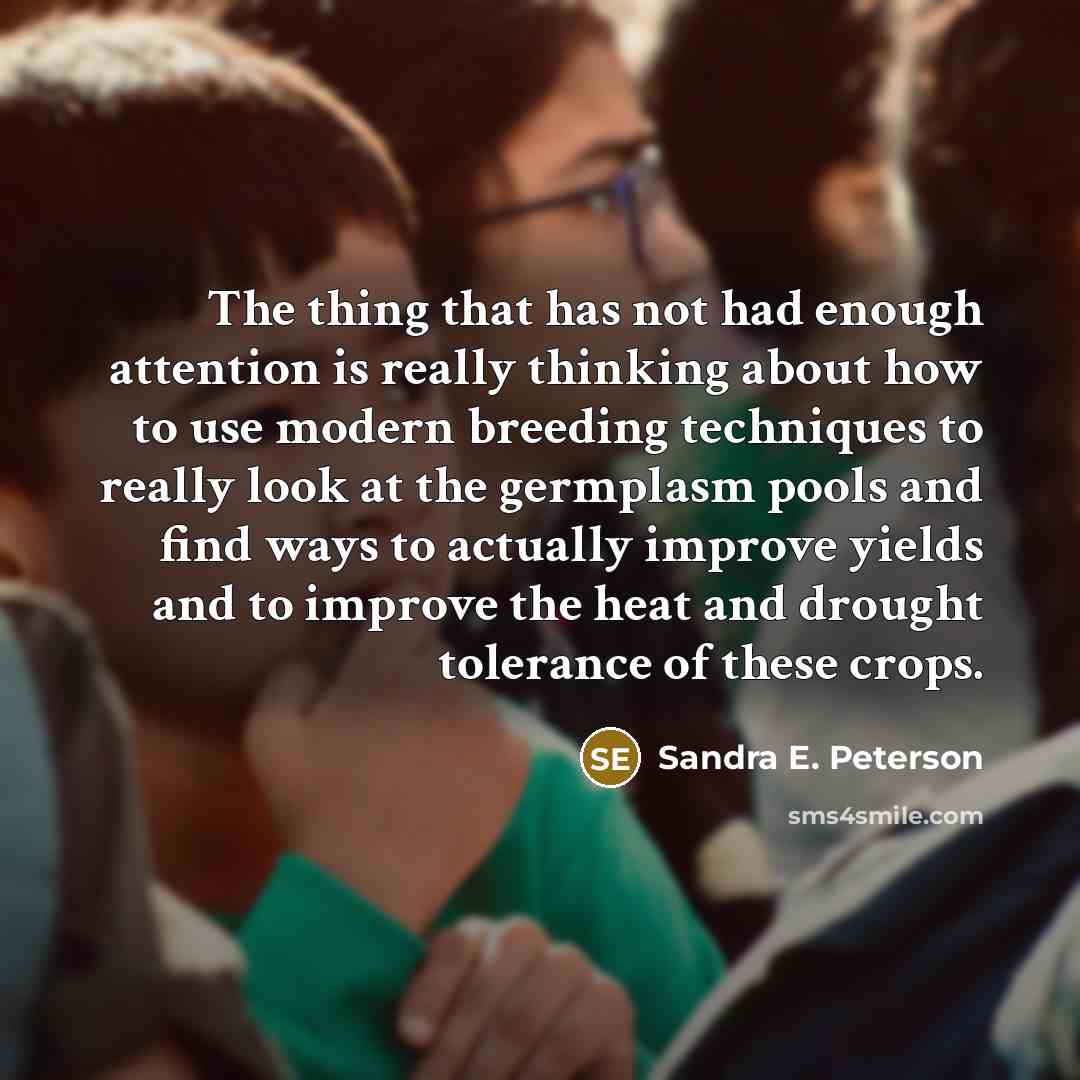 “The thing that has not had enough attention is really…” quote by Sandra E. Peterson