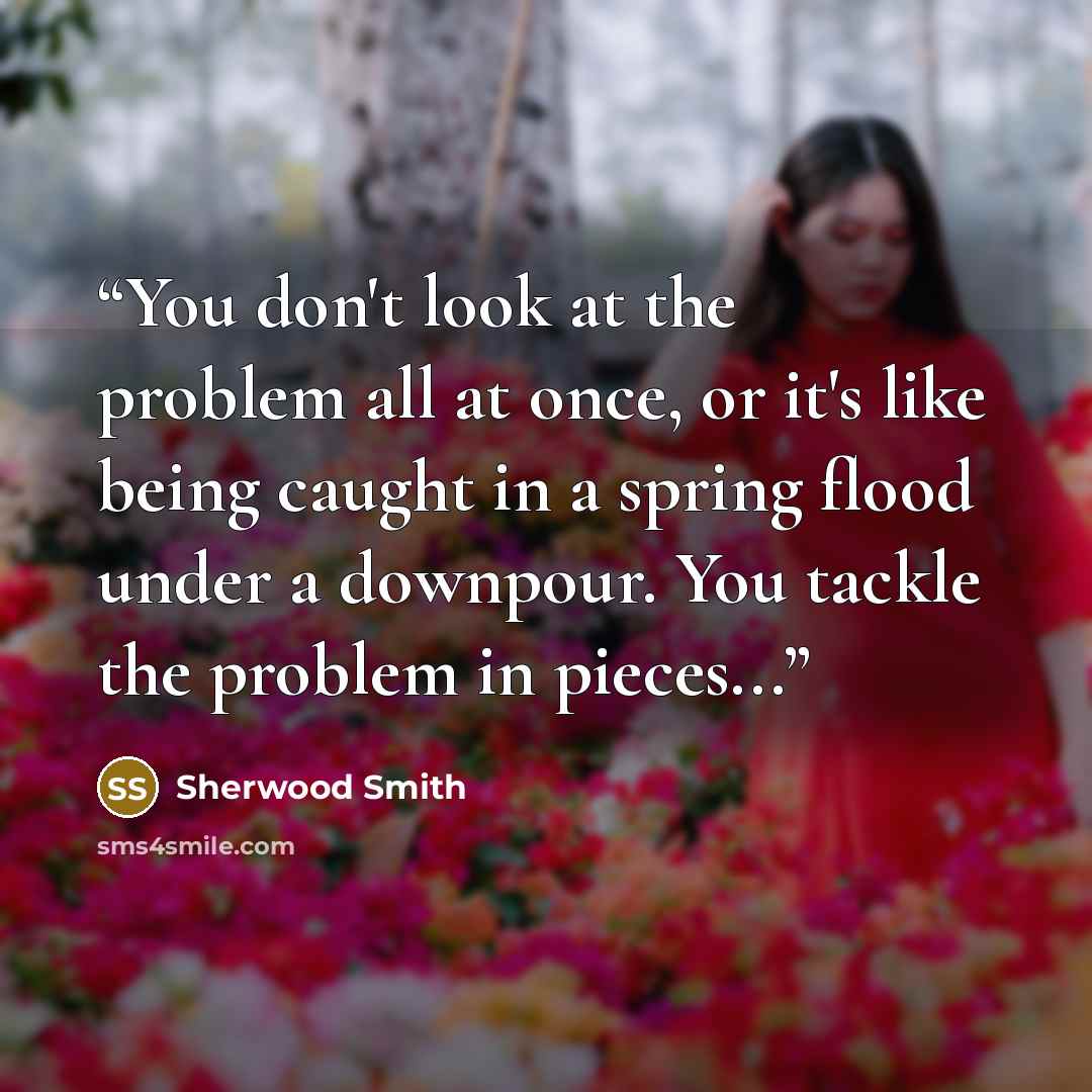 “You don't look at the problem all at once, or it's like being caught in a spring flood under a downpour. You tackle the problem in pieces...” quote by Sherwood Smith