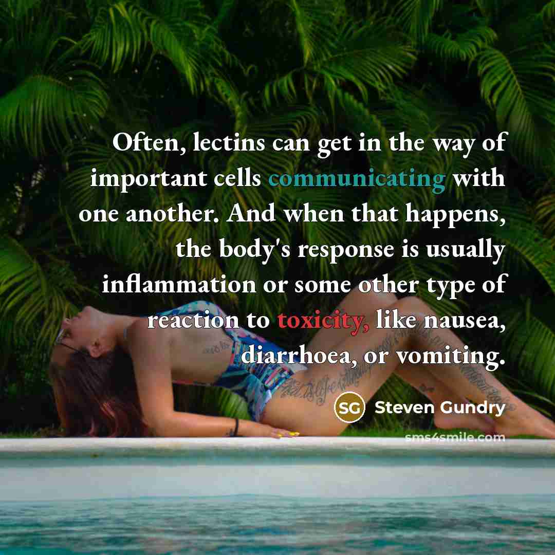 “Often, lectins can get in the way of important cells…” quote by Steven Gundry