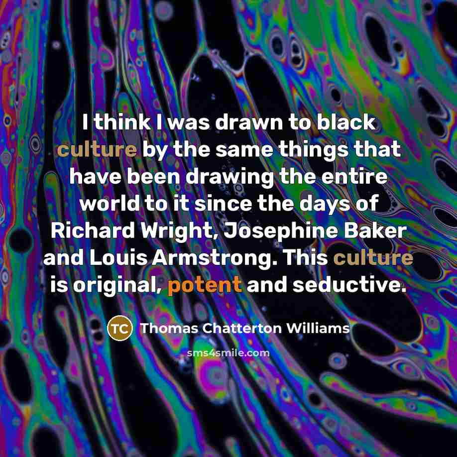 “I think I was drawn to black culture by the…” quote by Thomas Chatterton Williams