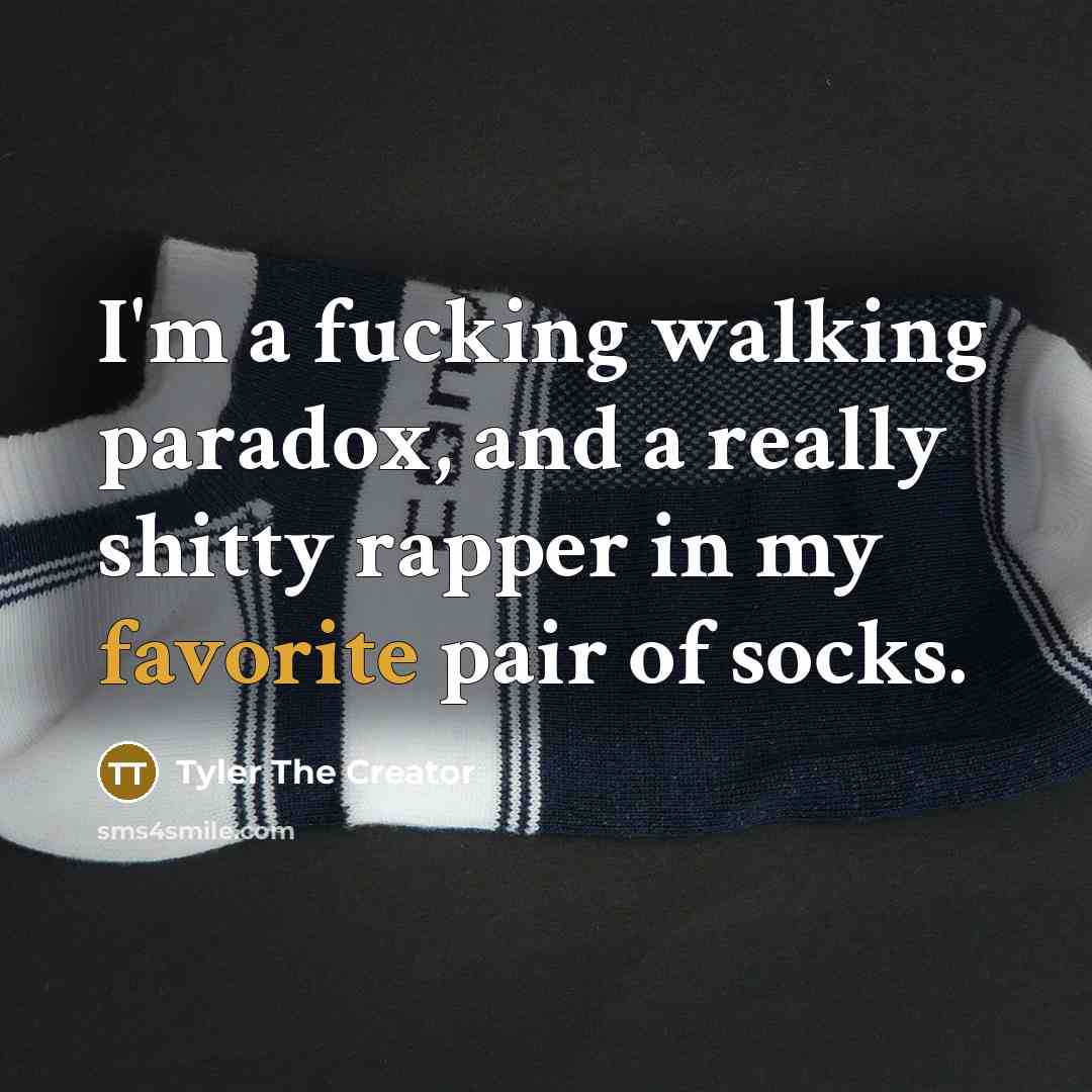“I'm a fucking walking paradox, and a really shitty rapper in my favorite pair of socks.” quote by Tyler The Creator