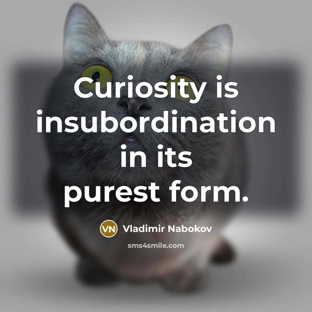 “Curiosity is insubordination in its purest form.…” quote by Vladimir Nabokov