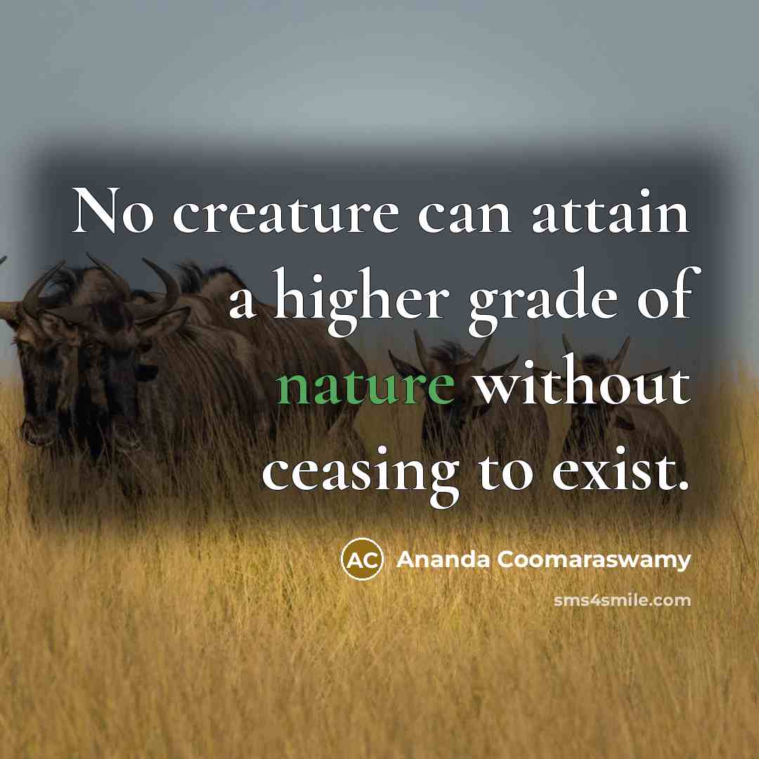 “No creature can attain a higher grade of nature without…” quote by Ananda Coomaraswamy