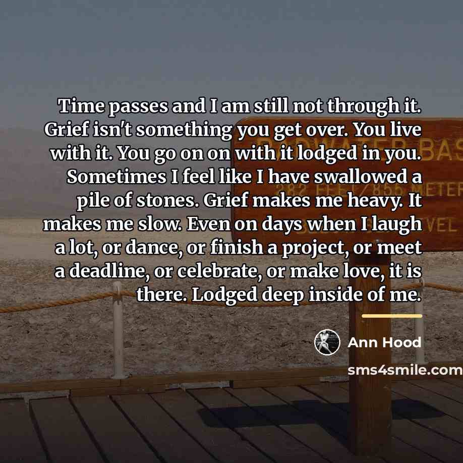 “Time passes and I am still not through it. Grief…” quote by Ann Hood