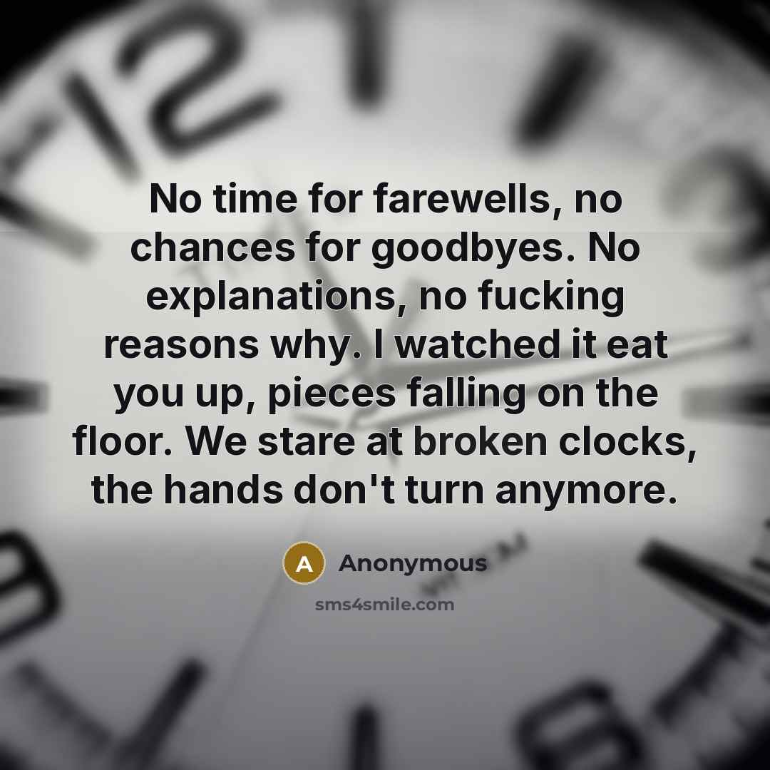 “No time for farewells, no chances for goodbyes. No explanations,…” quote by Anonymous