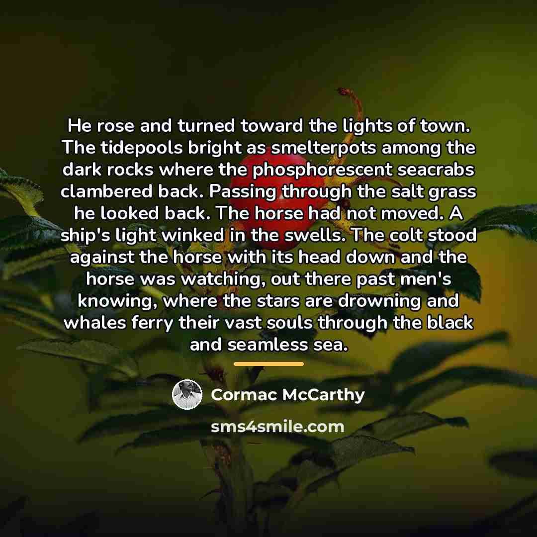 “He rose and turned toward the lights of town. The…” quote by Cormac McCarthy
