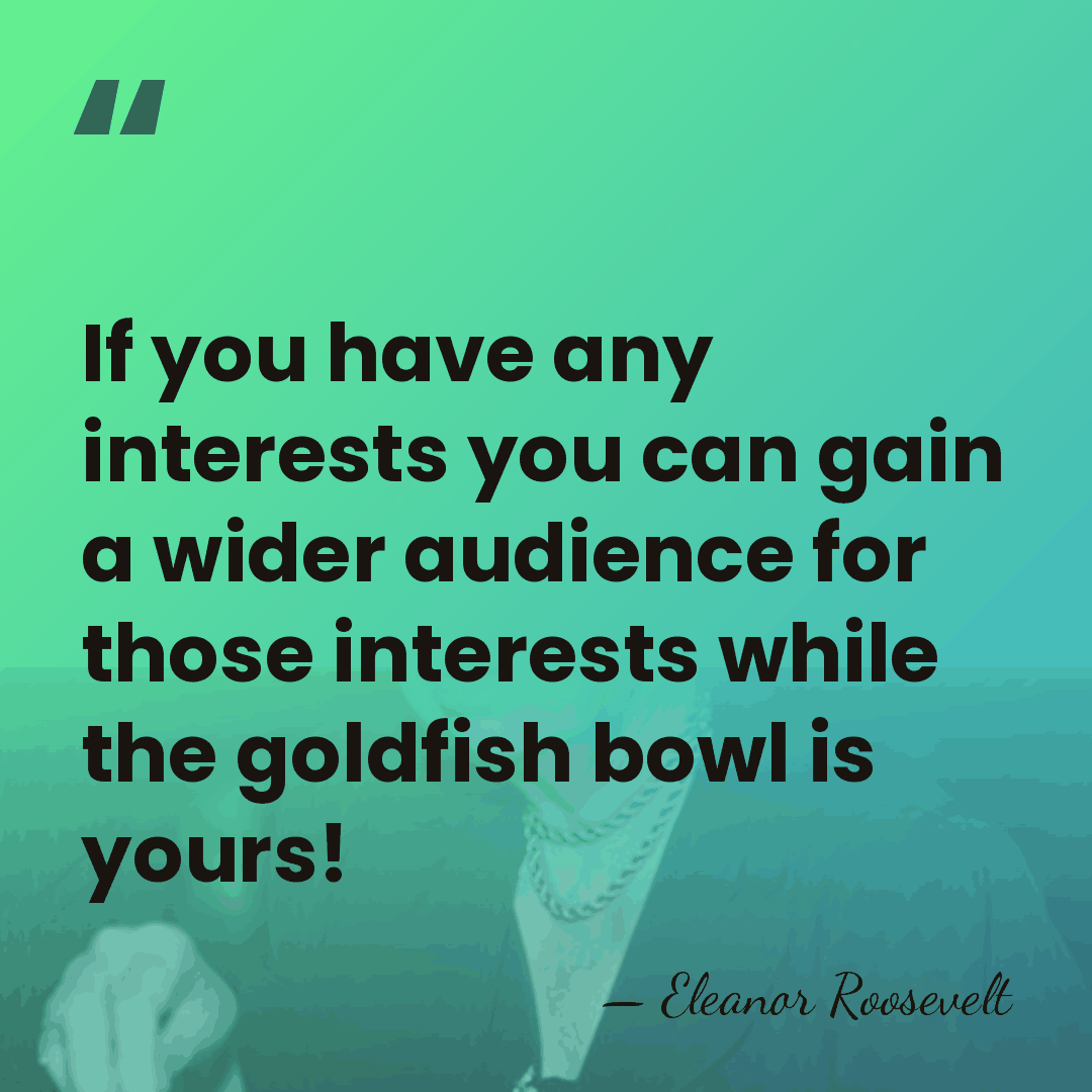 If you have any interests you can gain a wider audience for&hellip; - Eleanor Roosevelt