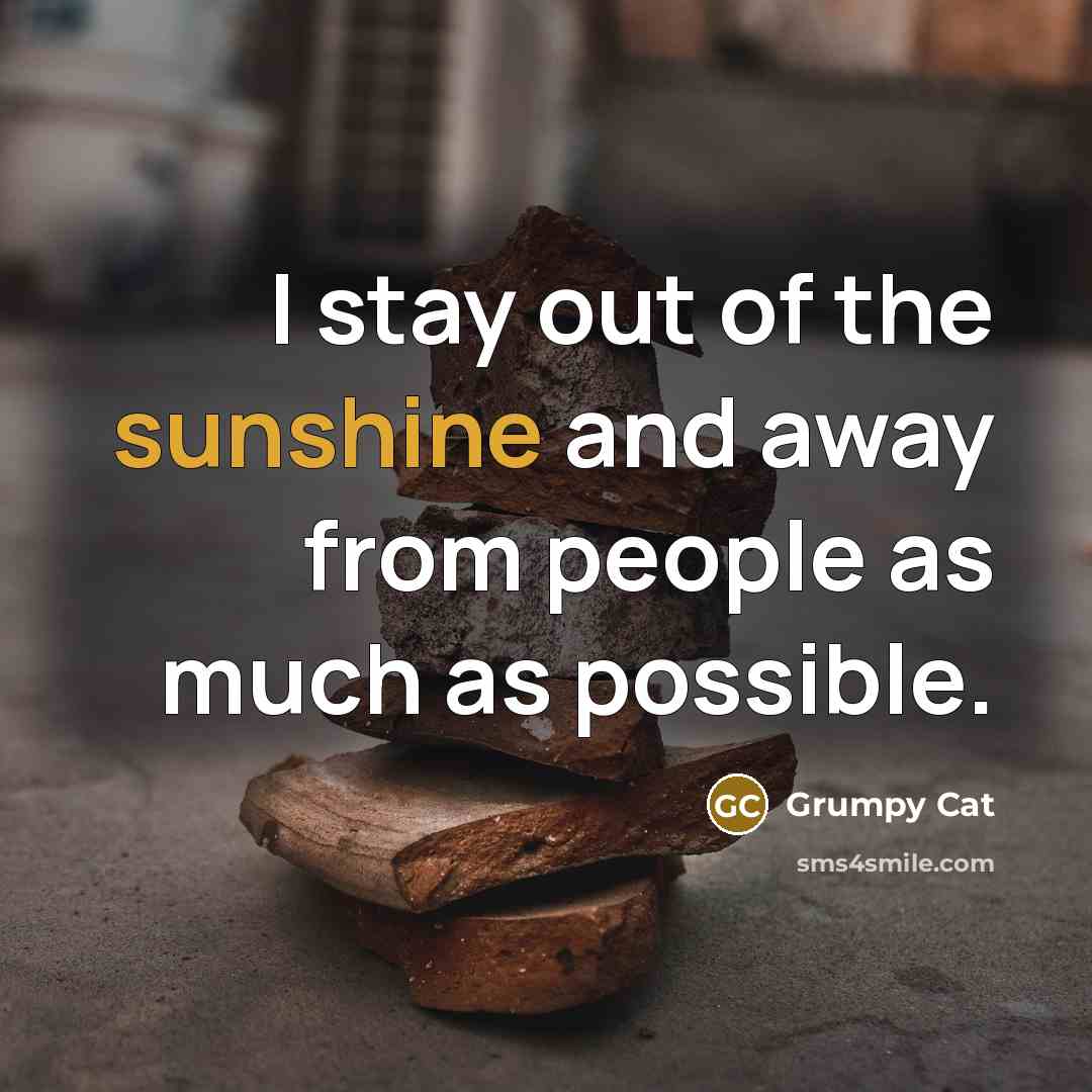 “I stay out of the sunshine and away from people as much as possible.” quote by Grumpy Cat
