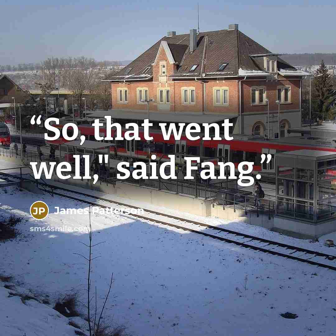 “So, that went well," said Fang.” quote by James Patterson