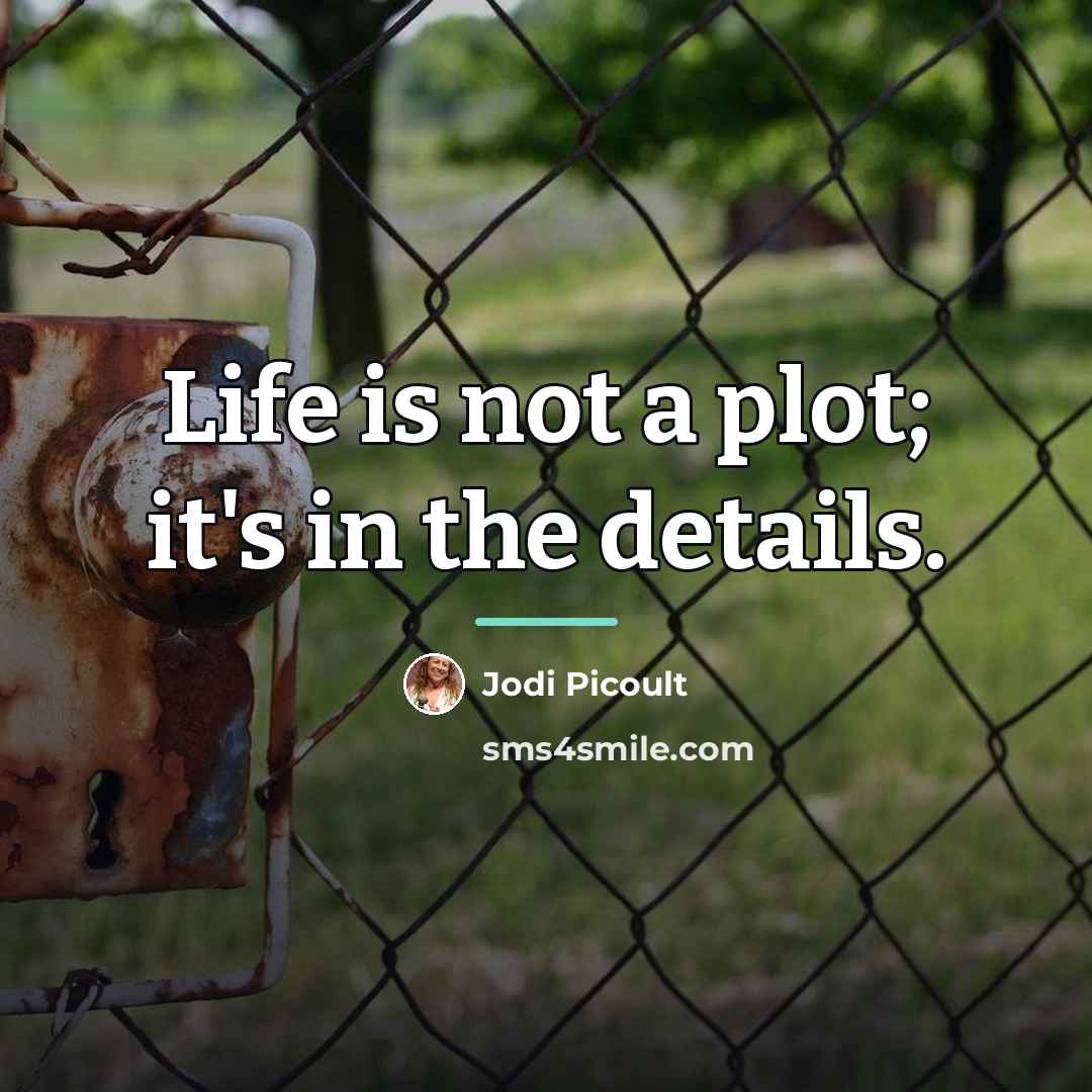“Life is not a plot; it's in the details.…” quote by Jodi Picoult