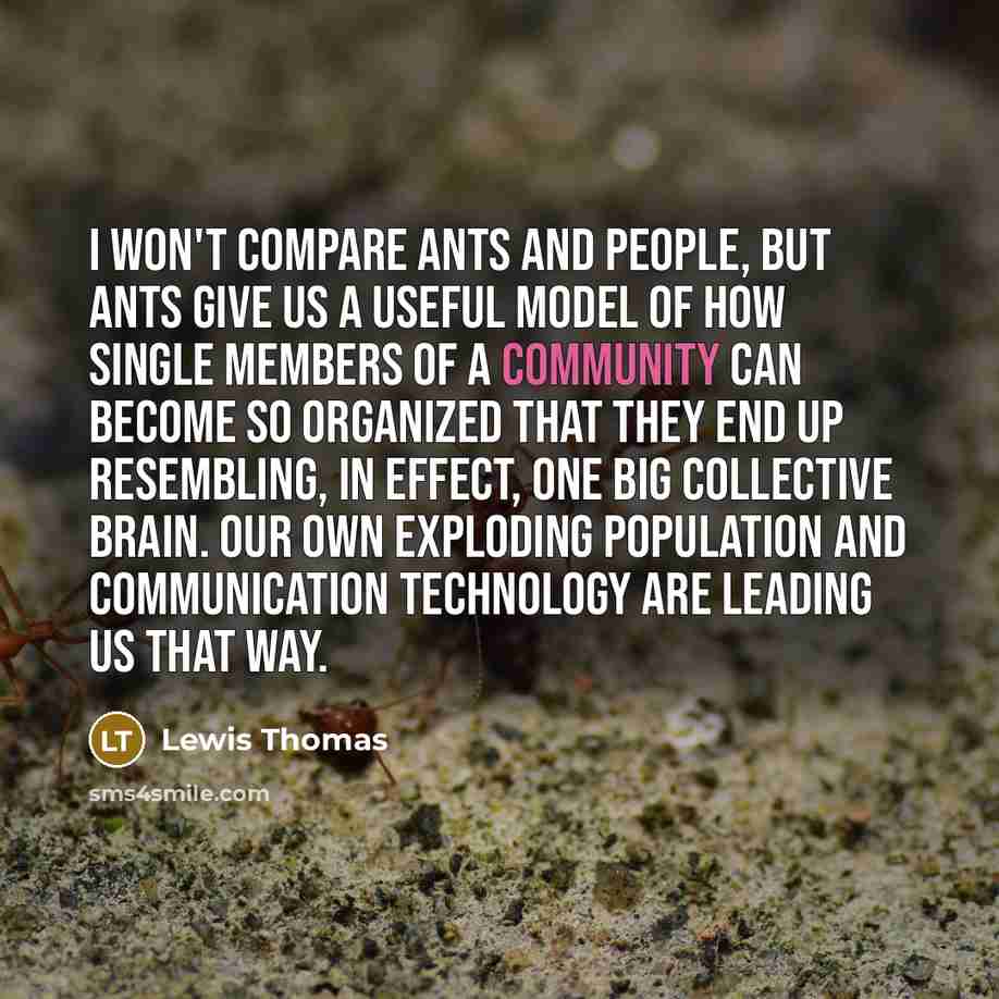 “I won't compare ants and people, but ants give us…” quote by Lewis Thomas