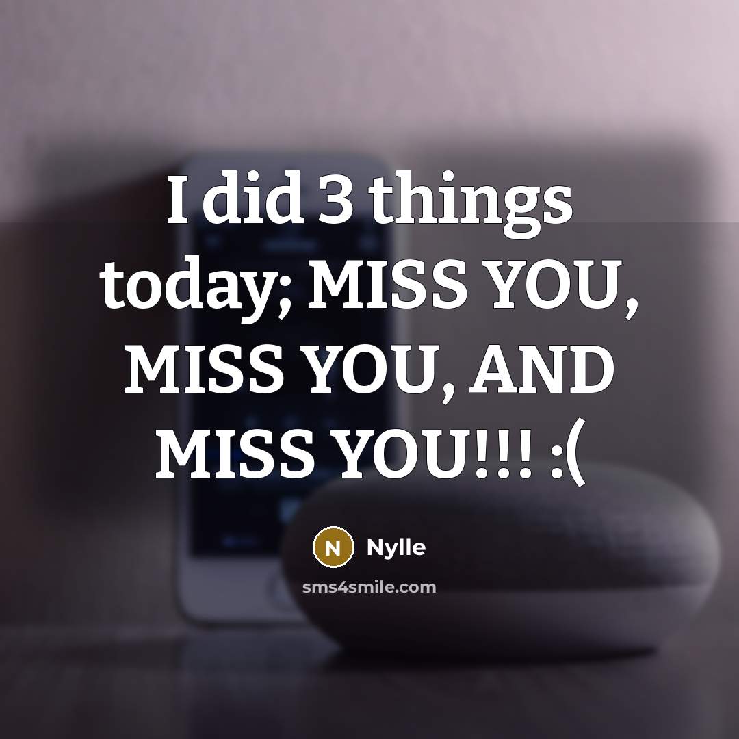 “I did 3 things today; MISS YOU, MISS YOU, AND MISS YOU!!! :(” quote by Nylle