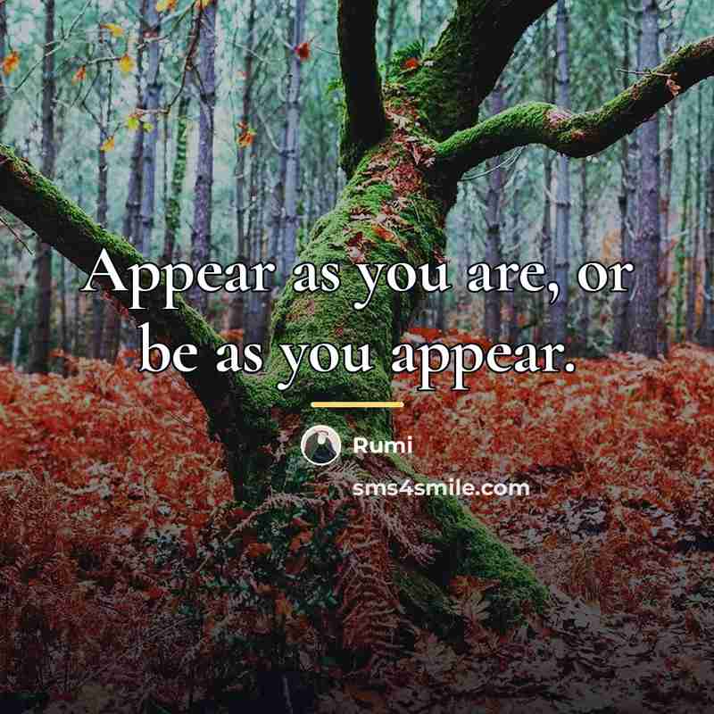 “Appear as you are, or be as you appear.…” quote by Rumi