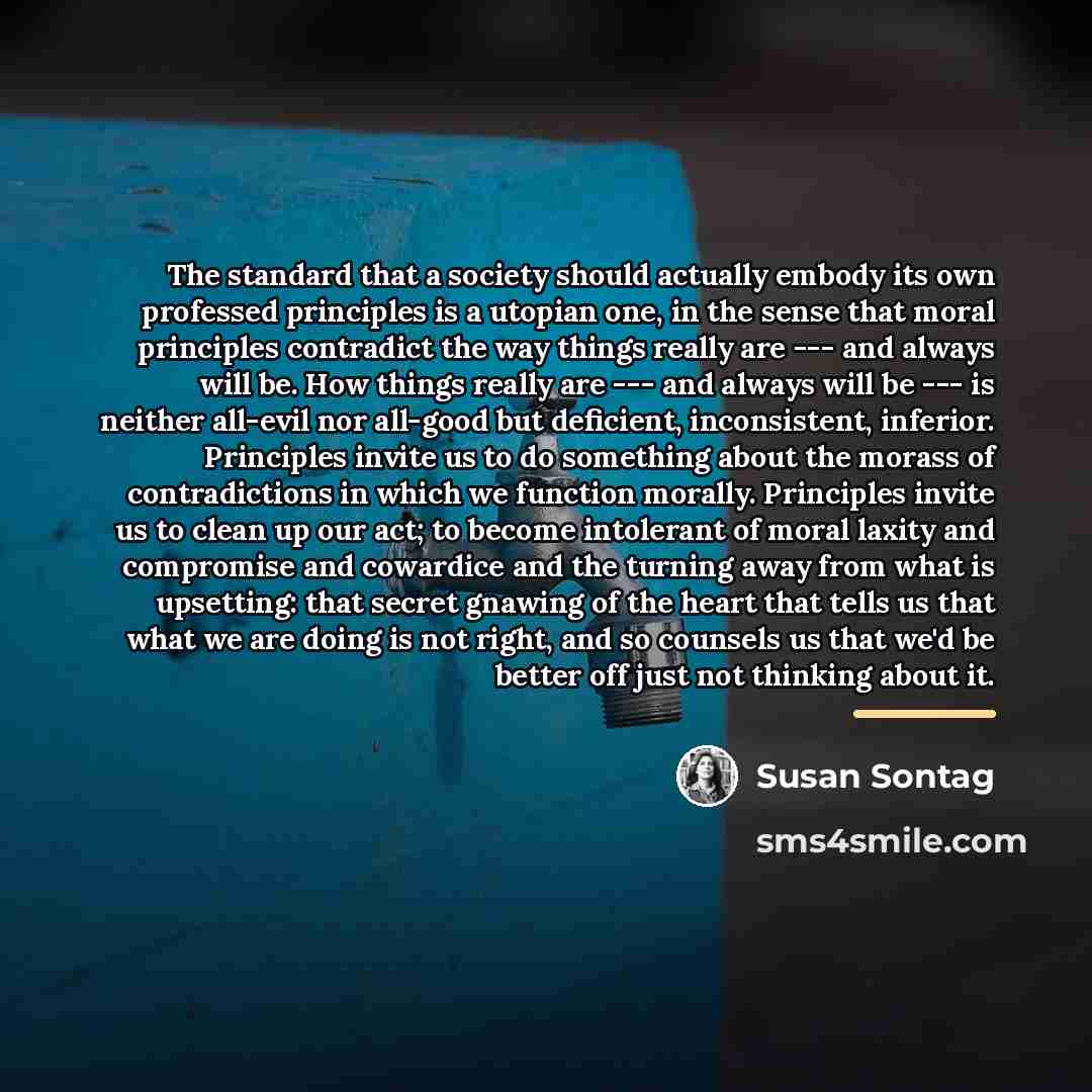 “The standard that a society should actually embody its own…” quote by Susan Sontag
