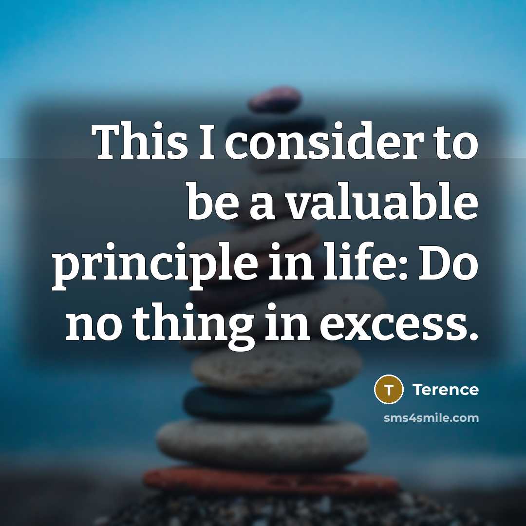 “This I consider to be a valuable principle in life:…” quote by Terence