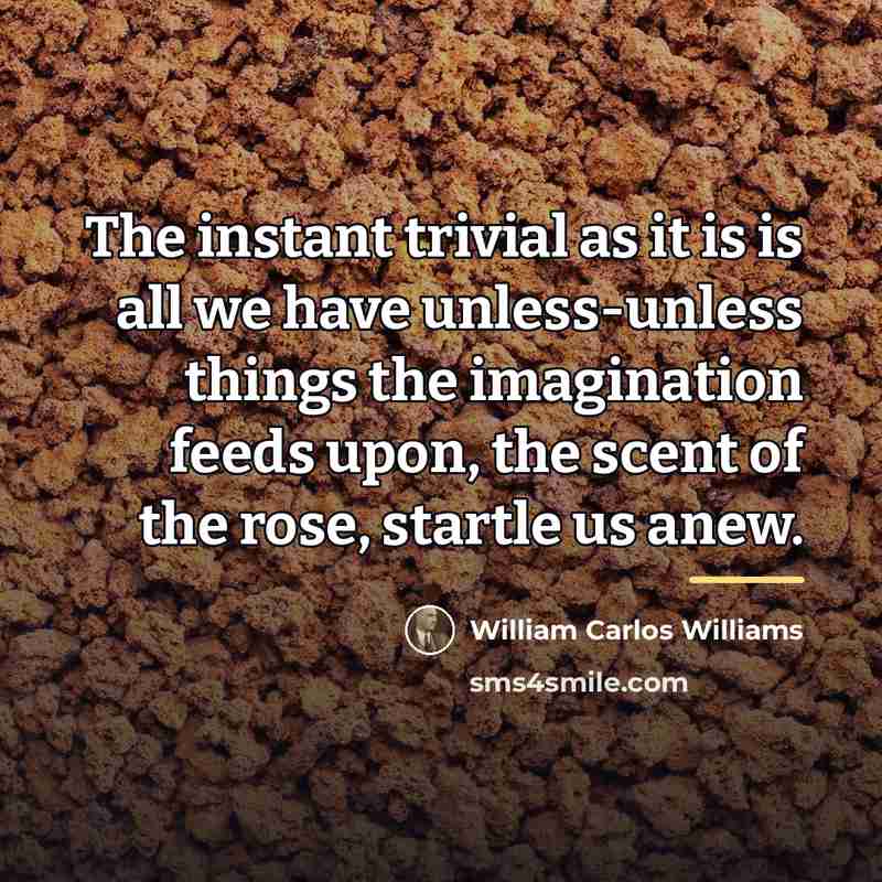 “The instant trivial as it is is all we have…” quote by William Carlos Williams