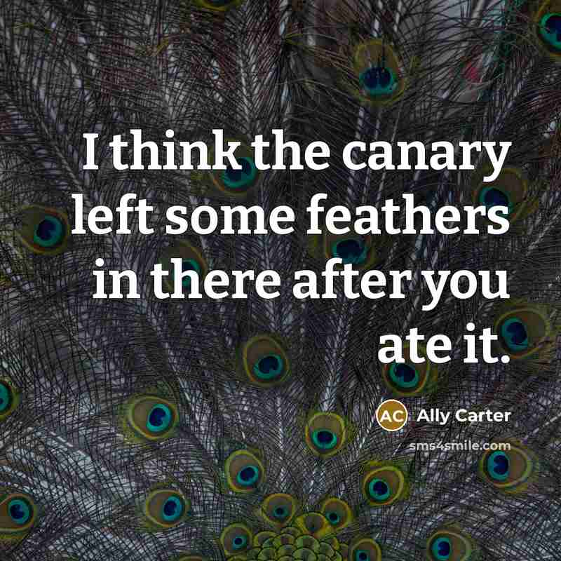 “I think the canary left some feathers in there after…” quote by Ally Carter