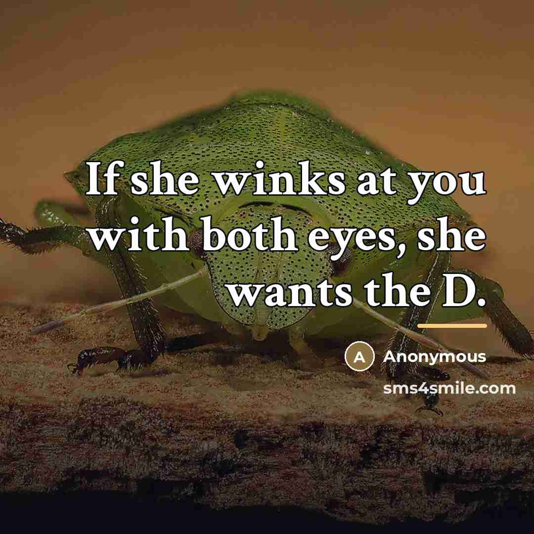 “If she winks at you with both eyes, she wants…” quote by Anonymous