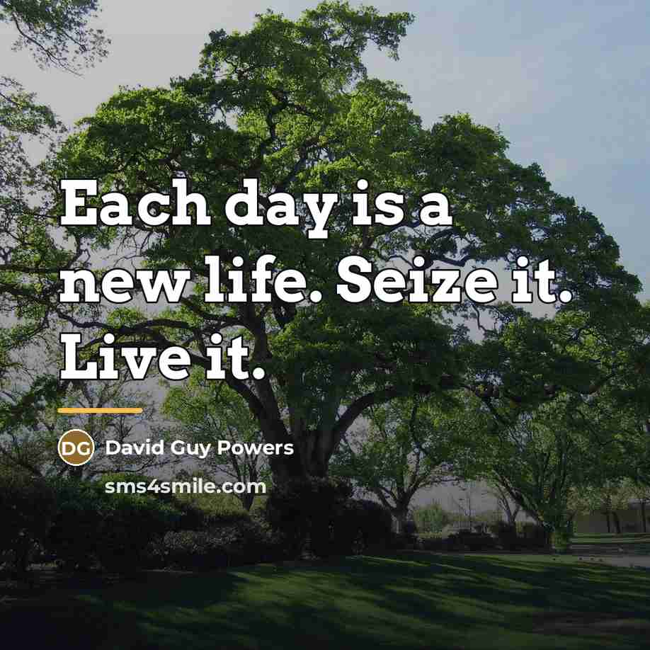 “Each day is a new life. Seize it. Live it.…” quote by David Guy Powers