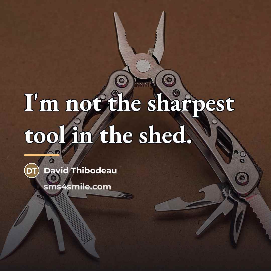 “I'm not the sharpest tool in the shed.…” quote by David Thibodeau