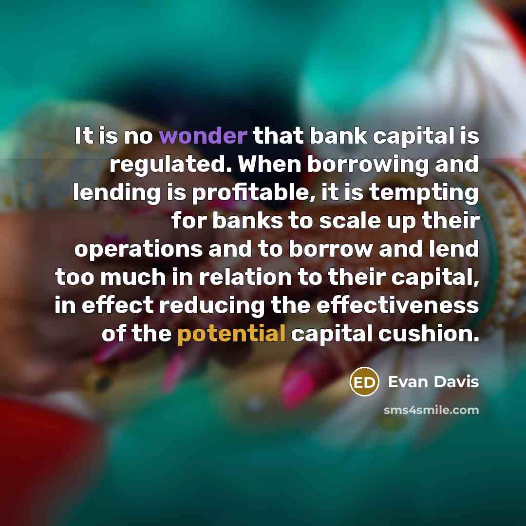 “It is no wonder that bank capital is regulated. When…” quote by Evan Davis