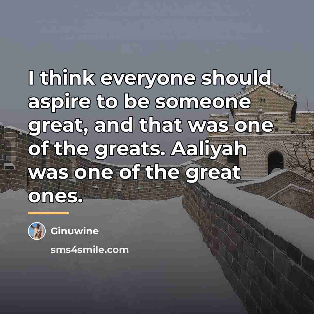 “I think everyone should aspire to be someone great, and…” quote by Ginuwine