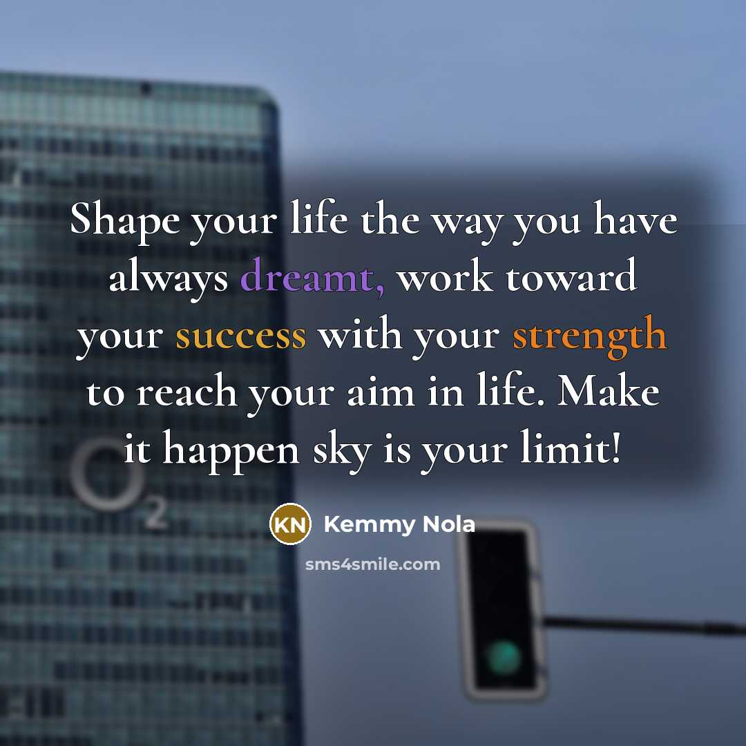 “Shape your life the way you have always dreamt, work toward your success with your strength to reach your aim in life. Make it happen sky is your limit!” quote by Kemmy Nola