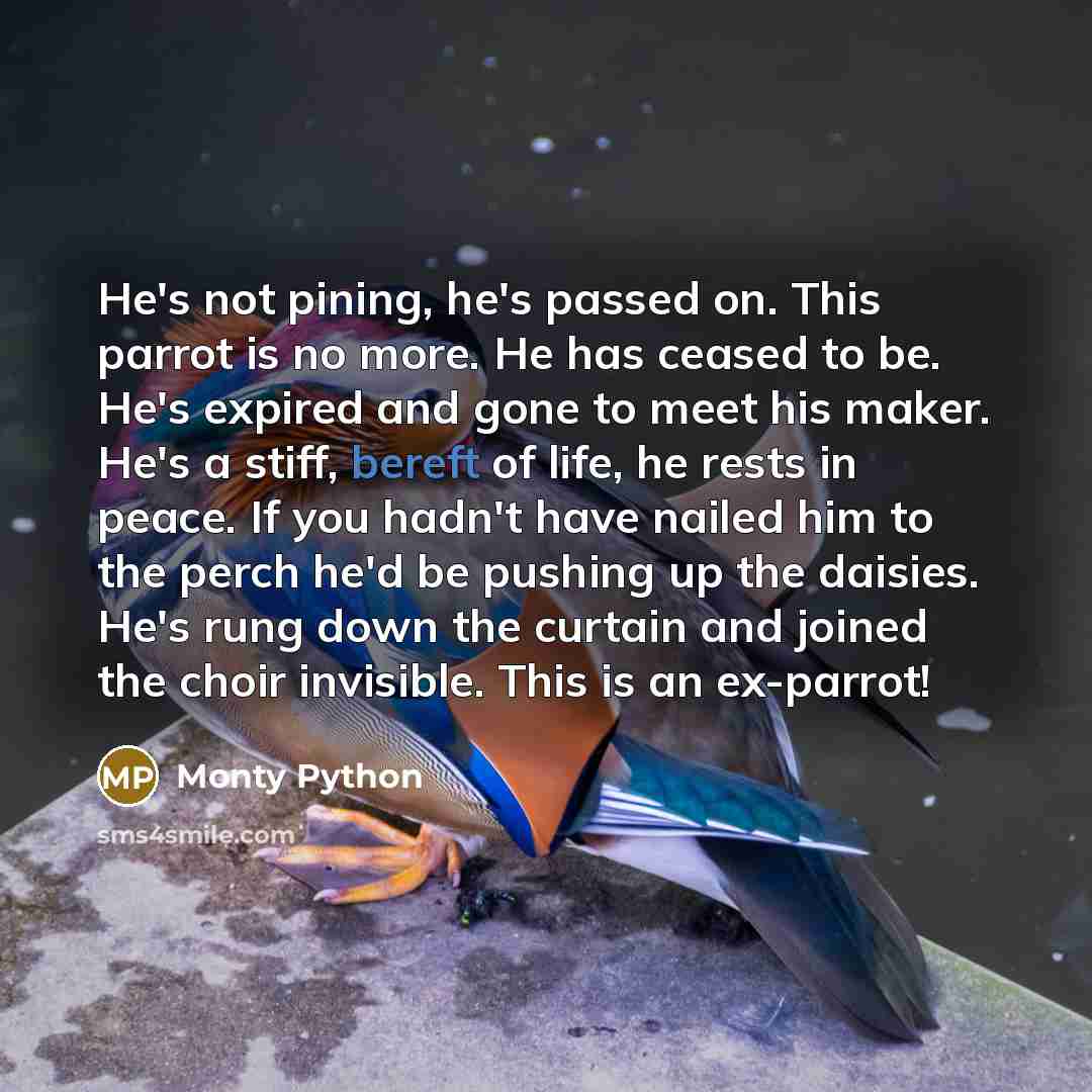 “He's not pining, he's passed on. This parrot is no more. He has ceased to be. He's expired and gone to meet his maker. He's a stiff, bereft of life, he rests in peace. If you hadn't have nailed him to the perch he'd be pushing up the daisies. He's rung down the curtain and joined the choir…” quote by Monty Python