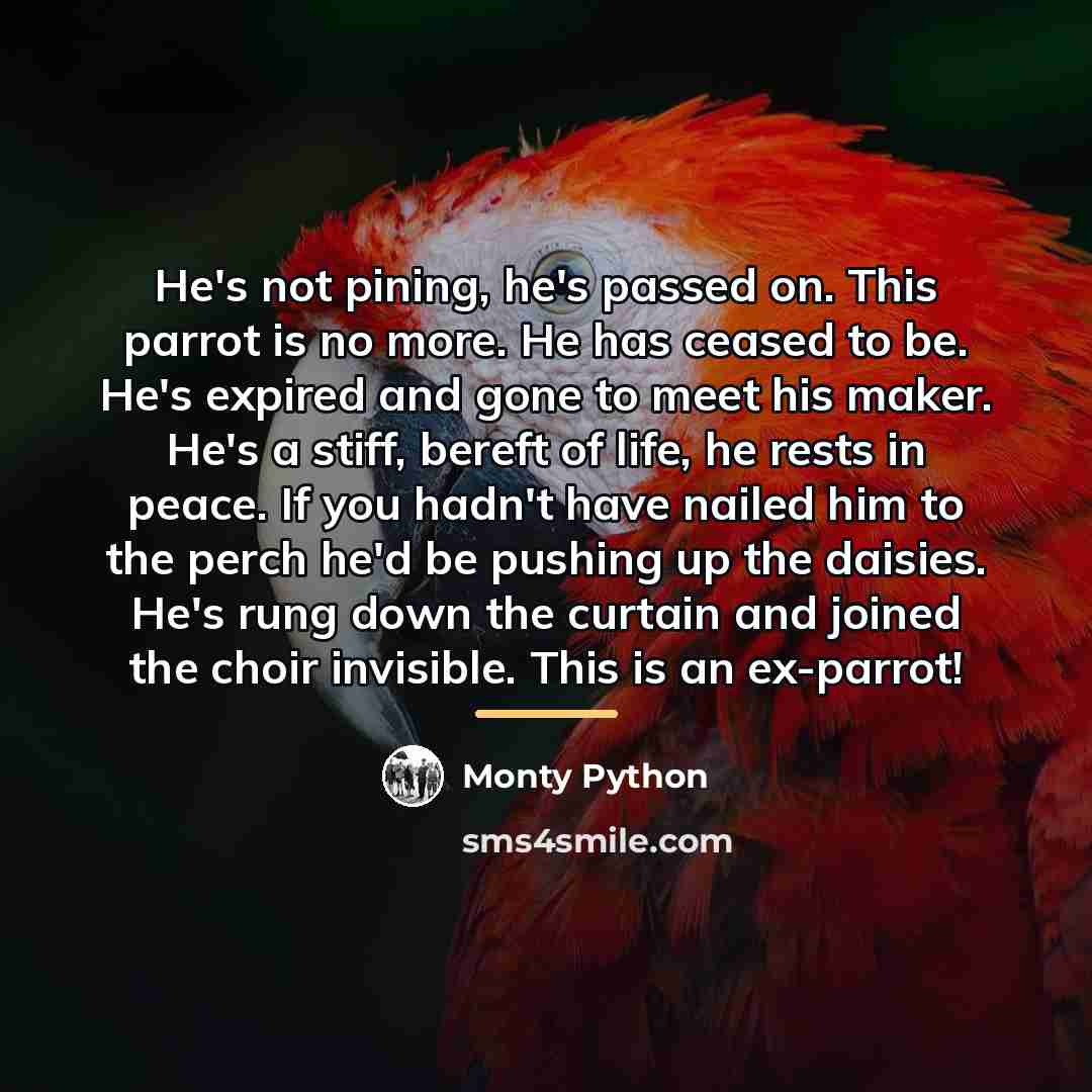 “He's not pining, he's passed on. This parrot is no…” quote by Monty Python