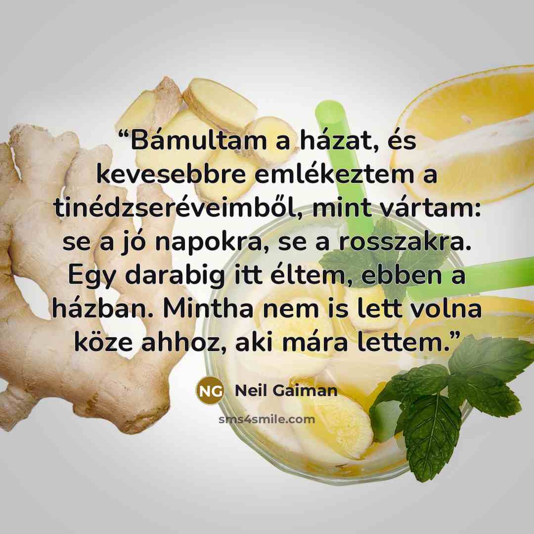 “Bámultam a házat, és kevesebbre emlékeztem a tinédzseréveimből, mint vártam: se a jó napokra, se a rosszakra. Egy darabig itt éltem, ebben a házban. Mintha nem is lett volna köze ahhoz, aki mára lettem.” quote by Neil Gaiman