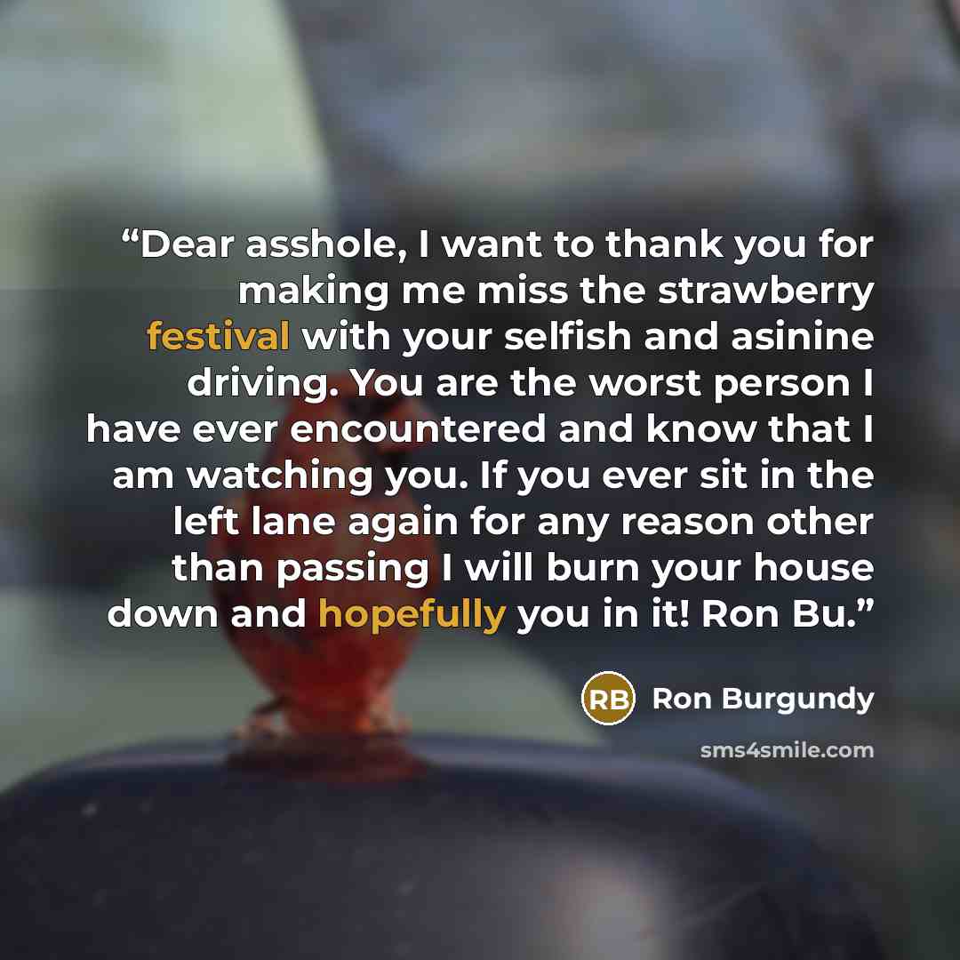 “Dear asshole, I want to thank you for making me miss the strawberry festival with your selfish and asinine driving. You are the worst person I have ever encountered and know that I am watching you. If you ever sit in the left lane again for any reason other than passing I will burn your house down…” quote by Ron Burgundy