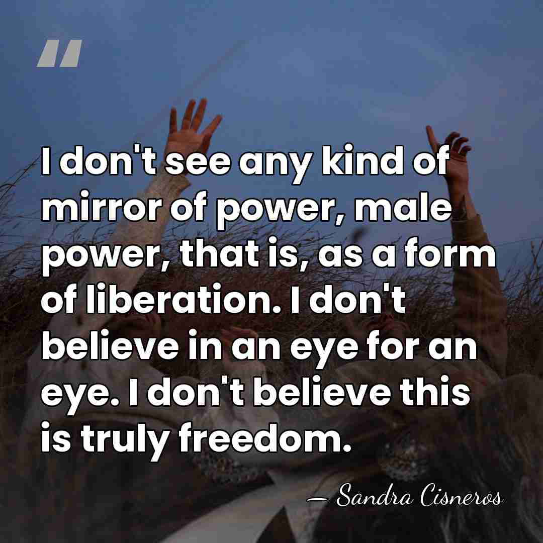 I don't see any kind of mirror of power, male power, that&hellip; - Sandra Cisneros