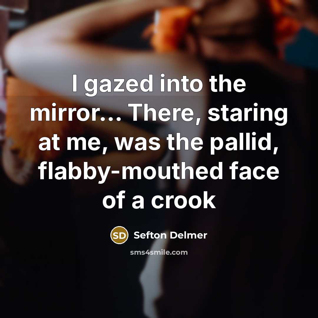 “I gazed into the mirror... There, staring at me, was…” quote by Sefton Delmer