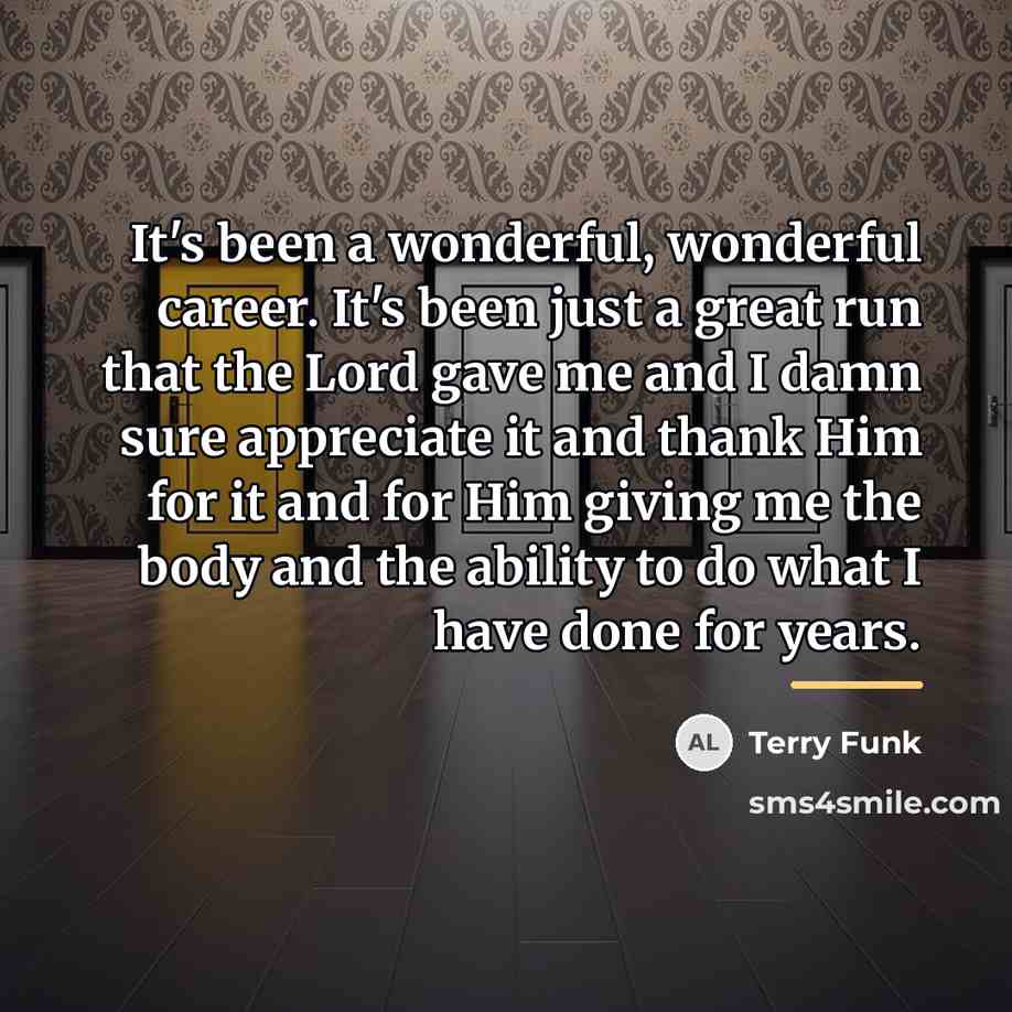 “It's been a wonderful, wonderful career. It's been just a…” quote by Terry Funk