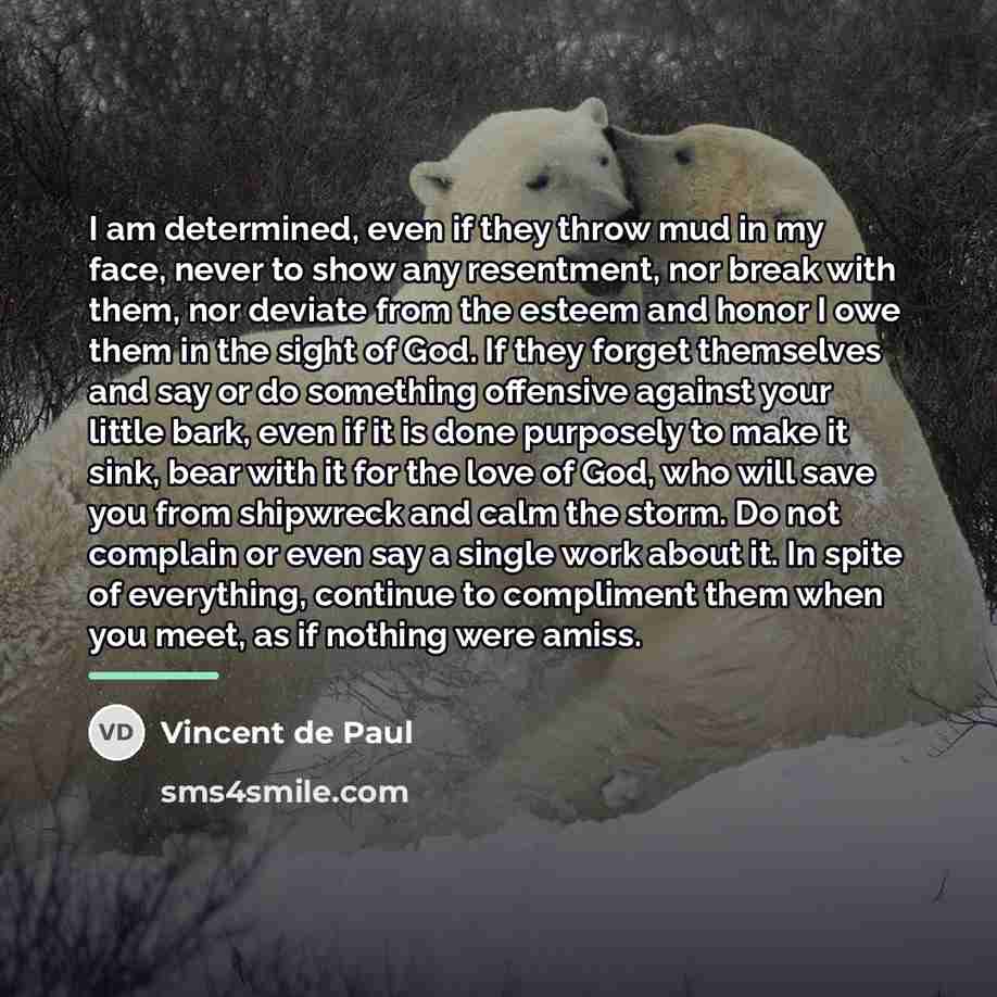 “I am determined, even if they throw mud in my…” quote by Vincent de Paul