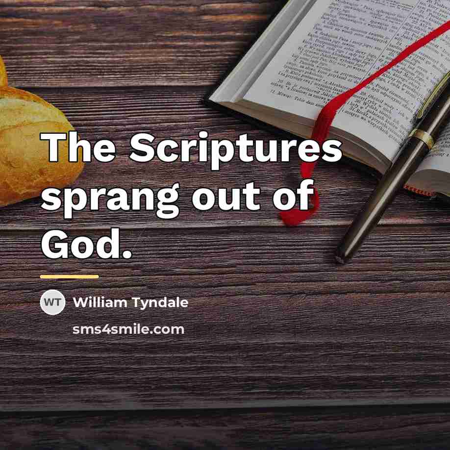 “The Scriptures sprang out of God.…” quote by William Tyndale