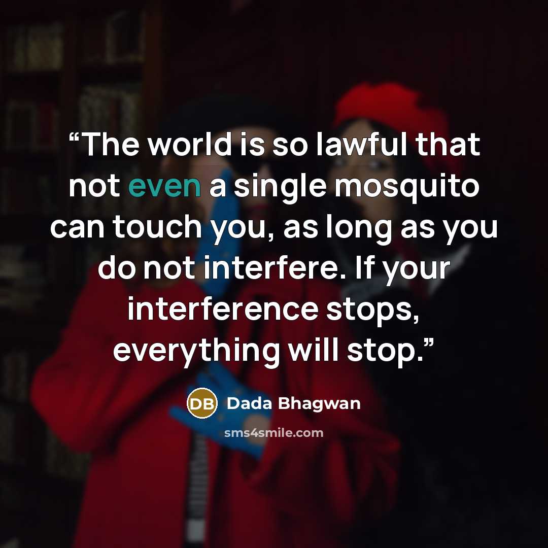 “The world is so lawful that not even a single mosquito can touch you, as long as you do not interfere. If your interference stops, everything will stop.” quote by Dada Bhagwan