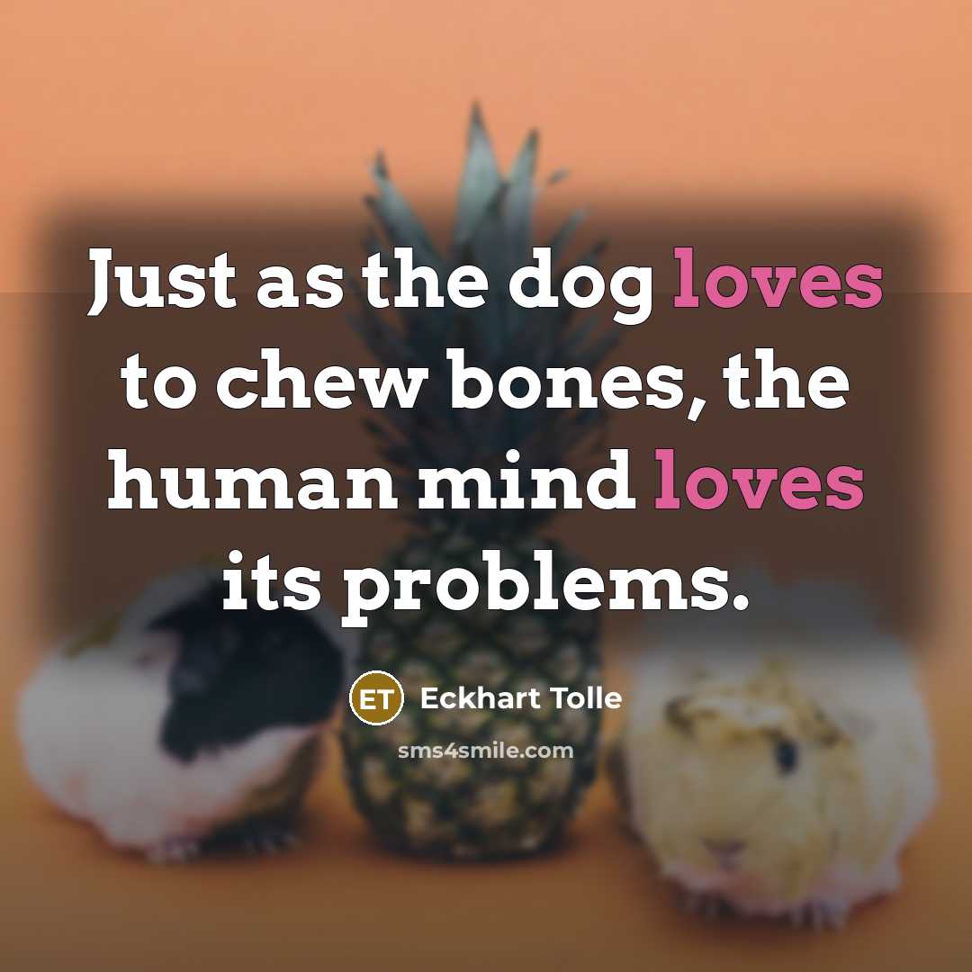 “Just as the dog loves to chew bones, the human mind loves its problems.” quote by Eckhart Tolle