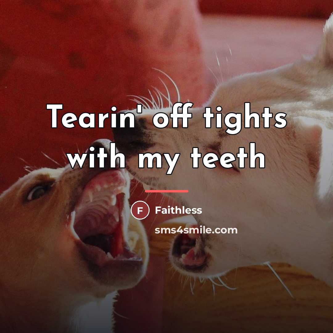 “Tearin' off tights with my teeth…” quote by Faithless
