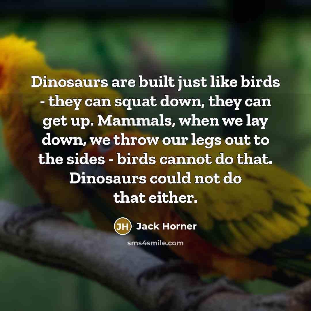 “Dinosaurs are built just like birds - they can squat…” quote by Jack Horner