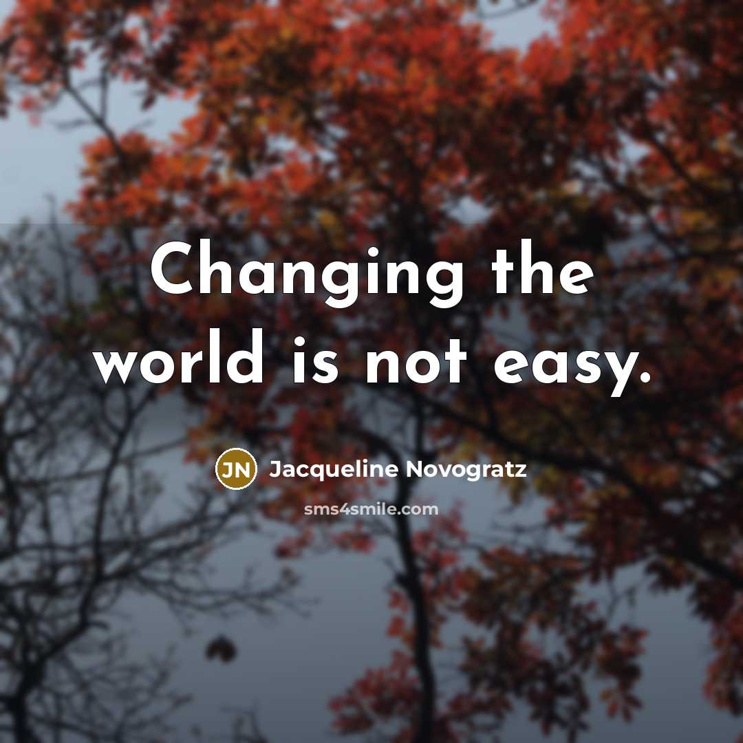 “Changing the world is not easy.…” quote by Jacqueline Novogratz