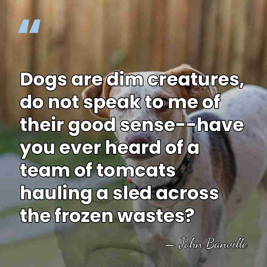 Dogs are dim creatures, do not speak to me of their good&hellip; - John Banville