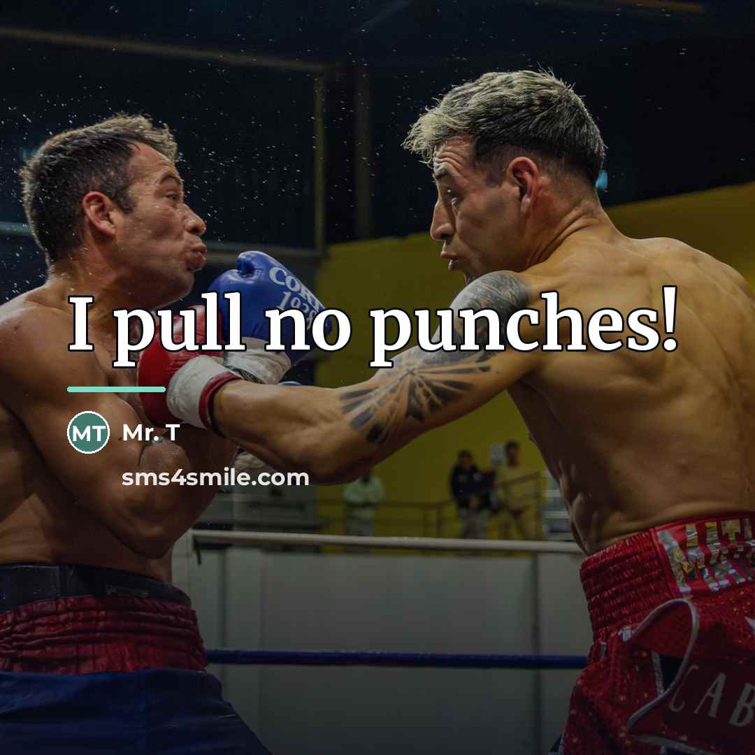 “I pull no punches!…” quote by Mr. T