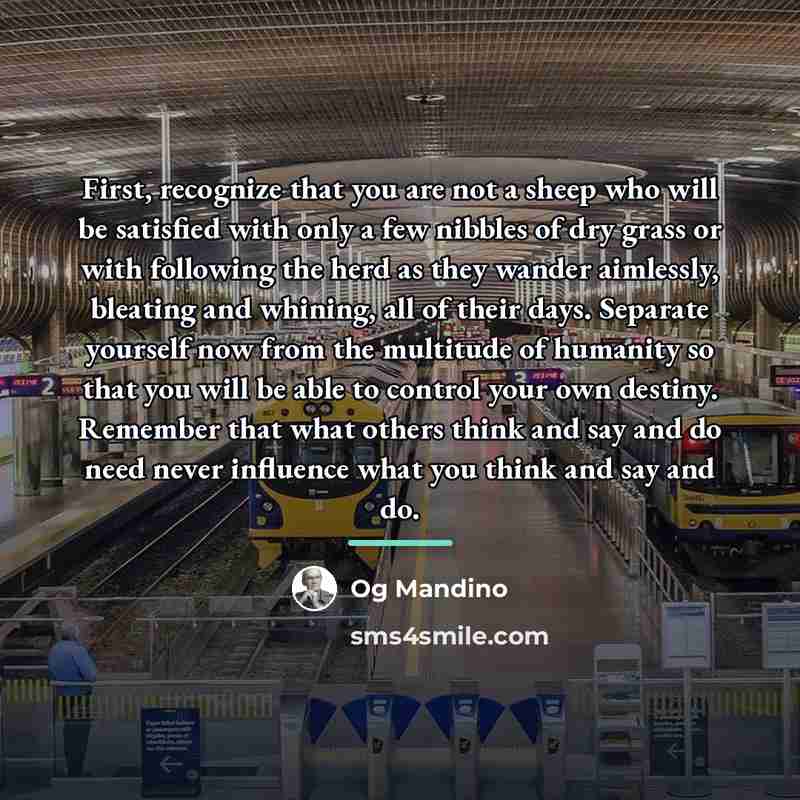 “First, recognize that you are not a sheep who will…” quote by Og Mandino
