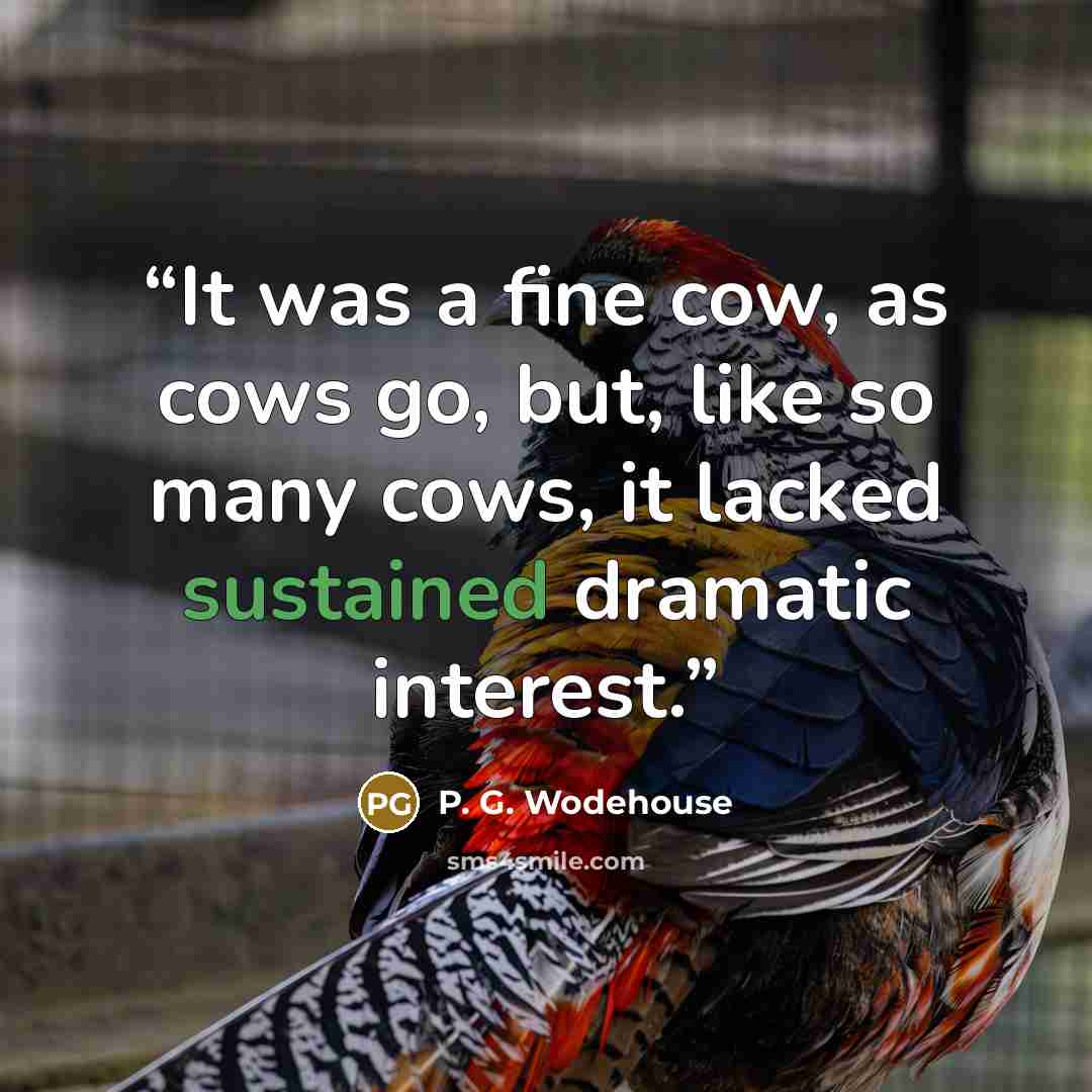 “It was a fine cow, as cows go, but, like so many cows, it lacked sustained dramatic interest.” quote by P. G. Wodehouse