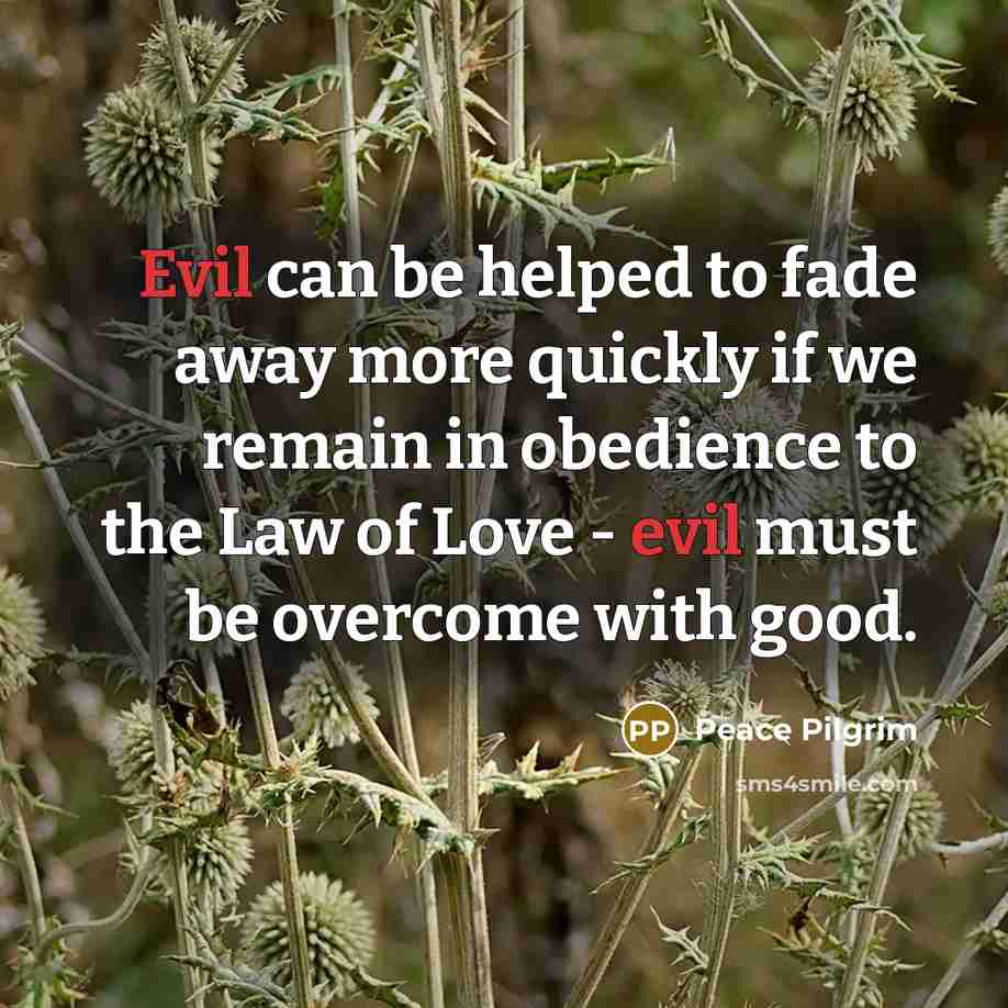 “Evil can be helped to fade away more quickly if…” quote by Peace Pilgrim
